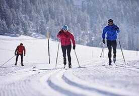Langlauf Holzleiten