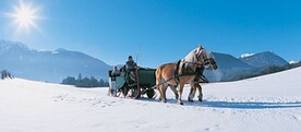 Kutsche Winter