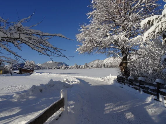80 km geräumte Winterwanderwege, direkt ab dem Adlerhof, über das ganze Mieminger Plateau. Das Sonnenplateau Mieming mit den meisten Sonnenstunden in den Bergen ist der ideale Ausgangspunkt für Skifahrer, Langläufer und Winterwanderer.