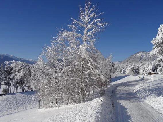 80 km geräumte Winterwanderwege über das ganze Mieminger Plateau. Das Sonnenplateau Mieming mit den meisten Sonnenstunden in den Bergen ist der ideale Ausgangspunkt für Skifahrer, Langläufer und Winterwanderer.