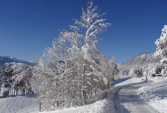 80 km geräumte Winterwanderwege über das ganze Mieminger Plateau. Das Sonnenplateau Mieming mit den meisten Sonnenstunden in den Bergen ist der ideale Ausgangspunkt für Skifahrer, Langläufer und Winterwanderer.