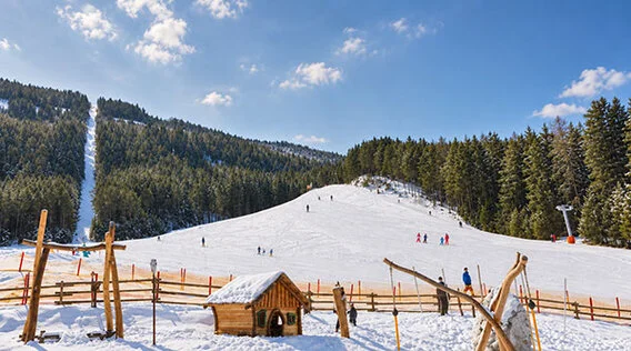 Ferienwohungen Adlerhof, wo Skigebiete gut erreichbar sind.