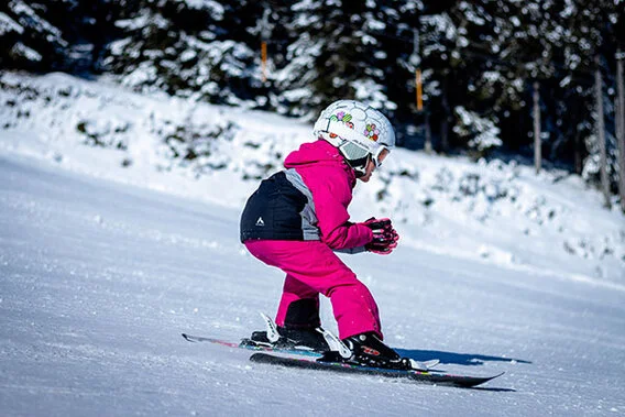 Ferienwohungen Adlerhof, wo Skigebiete und Kinderskigebiete gut erreichbar sind.