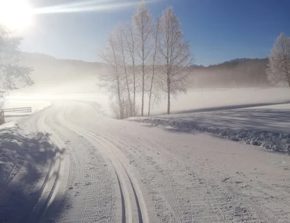 Am Mieminger Plateau finden Sie viele Langlaufloipen mit allen Schwierigkeitsgraden.